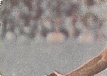 1970 Scanlens VFL #14 Kevin Sheedy Back